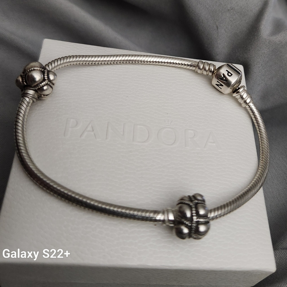Pandora Bracelet  2 Charms**REDUCED**